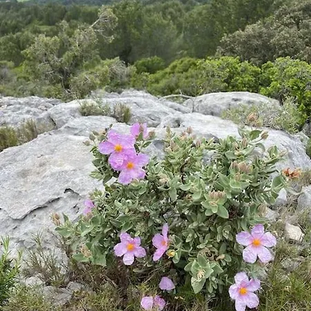 Confortable And Cozy Appartement Vinassan