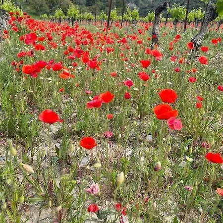 Confortable And Cozy Appartement *