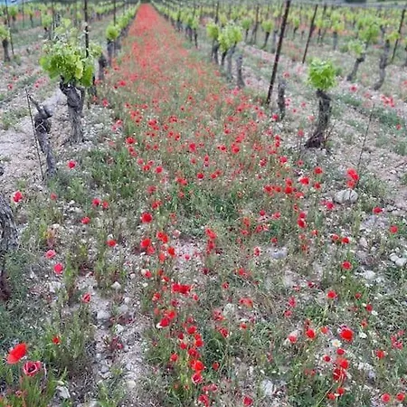 Confortable And Cozy Appartement Vinassan