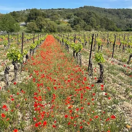 Appartement Confortable And Cozy Vinassan