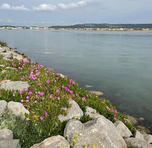 Confortable And Cozy