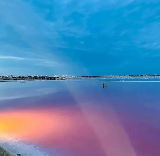 Daire Confortable And Cozy