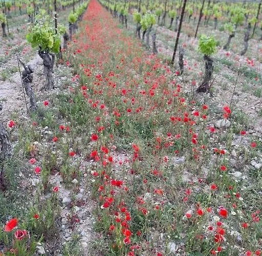 Confortable And Cozy Daire Vinassan