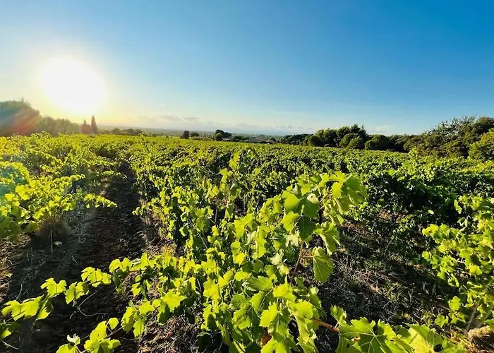 Confortable And Cozy Vinassan