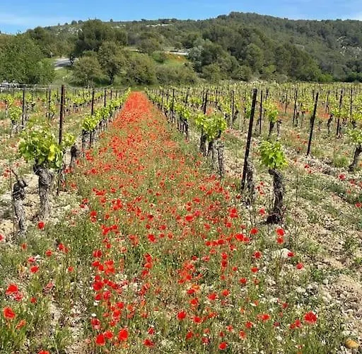 Daire Confortable And Cozy Vinassan