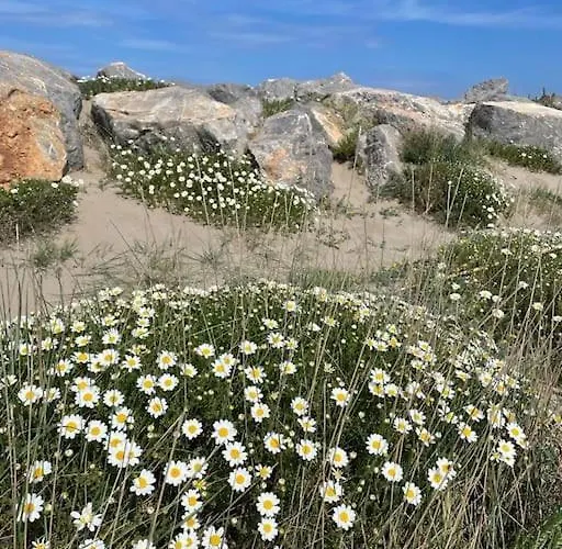 Confortable And Cozy Daire Vinassan